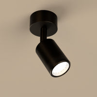 Lichelle L Proud Extended Surface 5426 Spotlight