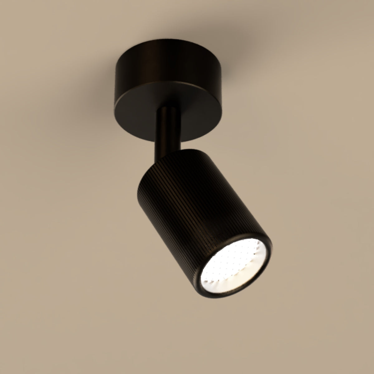 Lichelle L Proud Extended Surface 5426 Spotlight