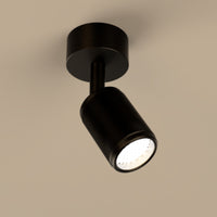 Lichelle K Proud Extended Surface 5426 Spotlight