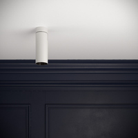 Cloud Mini Rose Adjustable Spotlight