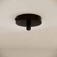 Pulo Box X1 Grip Ceiling Rose