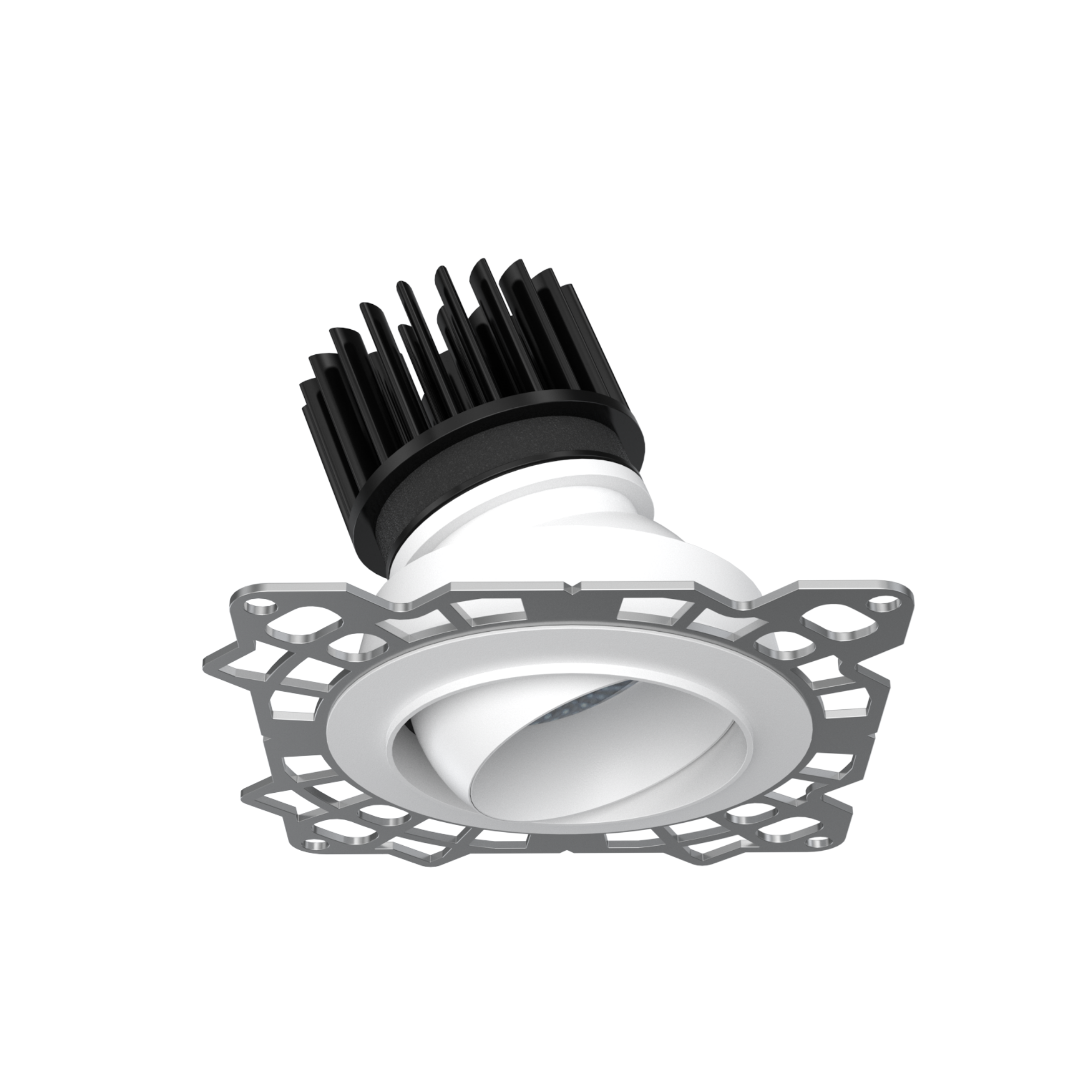 Eyeconic Trimless Adjustable Downlight
