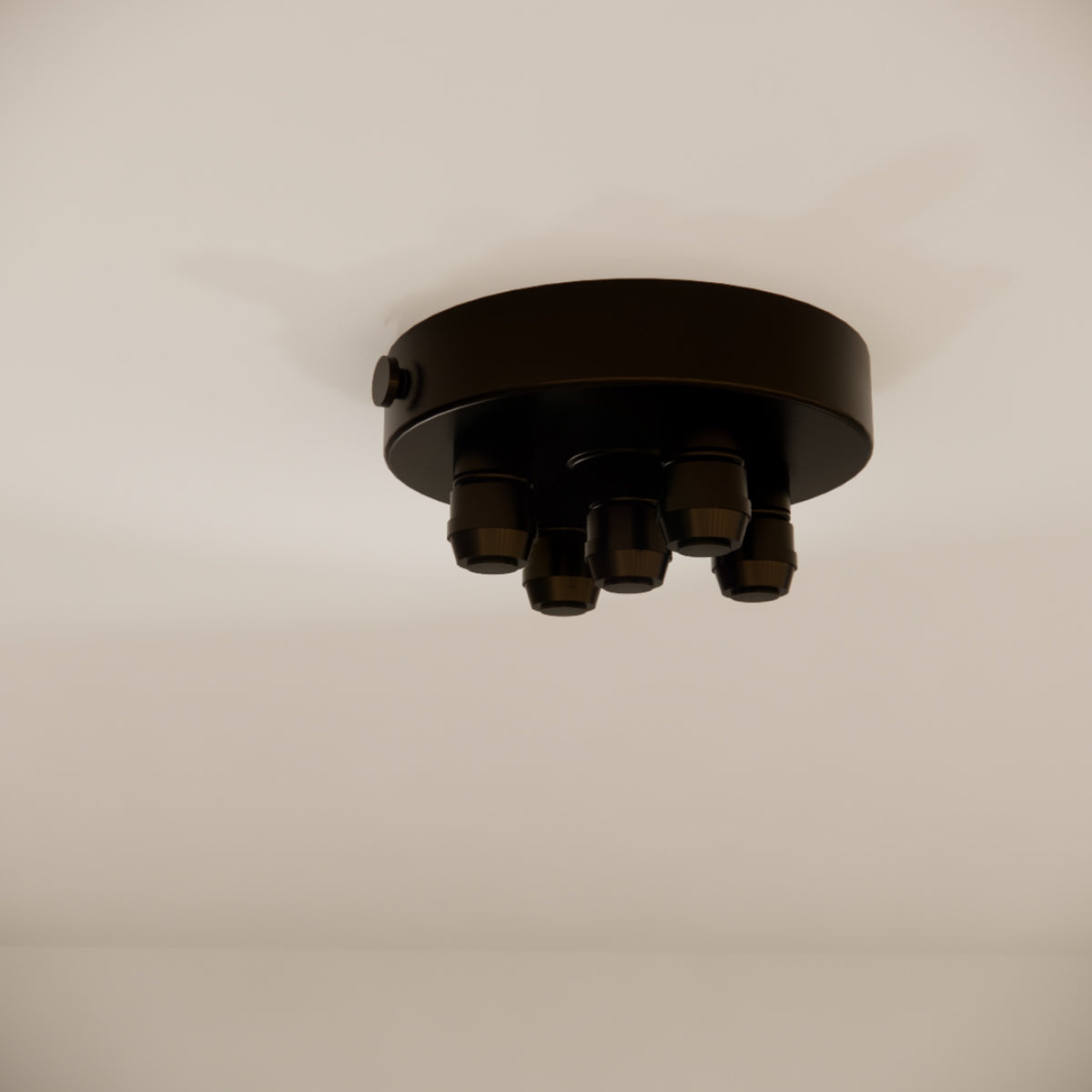 Pulo Box X5 Grip Ceiling Rose