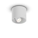 Coro Alto Zoom Up Spotlight