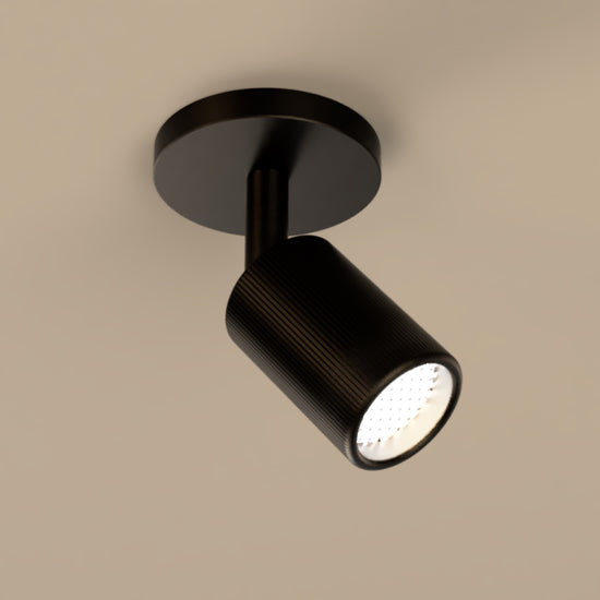 Lichelle L Proud Extended 57 7010 Spotlight