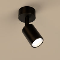 Lichelle P Proud Extended Surface 5426 Spotlight