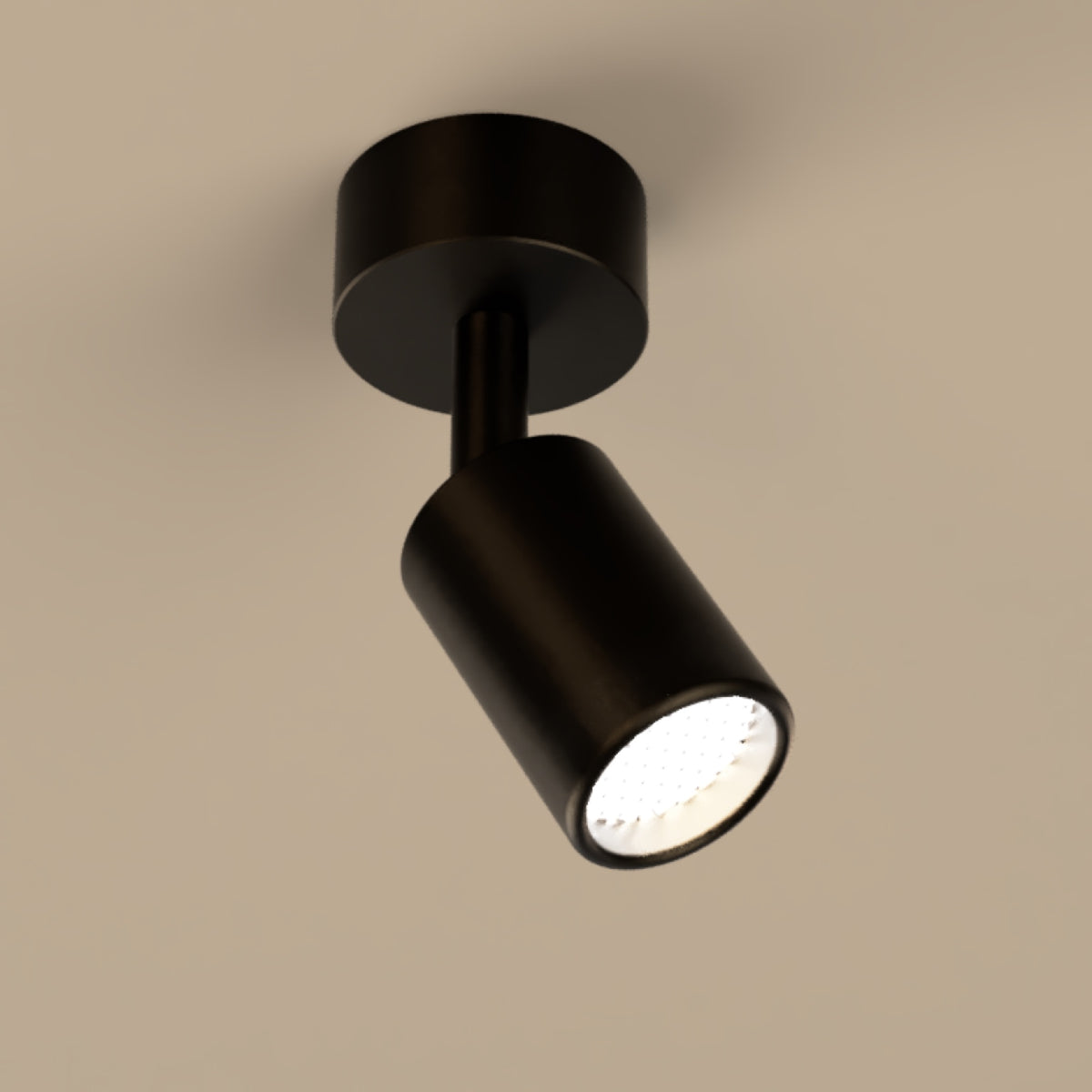 Lichelle P Proud Extended Surface 5426 Spotlight
