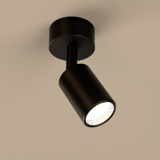 Lichelle P Proud Extended Surface 5426 Spotlight
