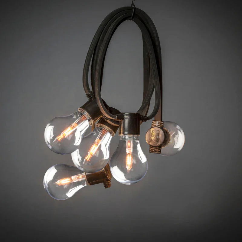10 Lamp LED Festoon Set