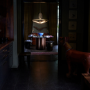 RUBN Bloomsbury Wide Pendant Light | All Square Lighting