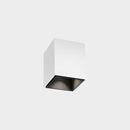 Wever & Ducré Box Mini 1.0 LED Ceiling Light | All Square Lighting