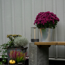 Edison Portable Lantern Lamp