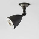 Lilley Shade N039 Spotlight
