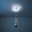 Davide Groppi Louis XIV 1 Pendant Light | All Square Lighting