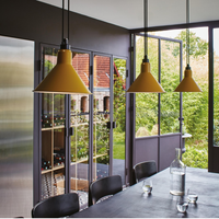 Les Acrobates De Gras N°322 Pendant Light