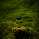 Lille Mini Portable Table Lamp