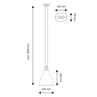 Les Acrobates De Gras N°322 Pendant Light