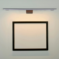 Eliana Picture Light