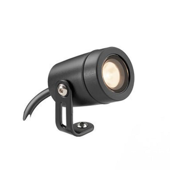 LD51 Spotlight