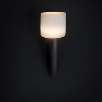 Torch Wall Light