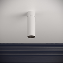 Cloud Mini Rose Adjustable Spotlight