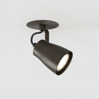Juno Recessed Spotlight