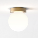 Tacoma Surface Ceiling Light