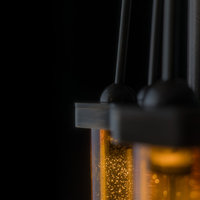 Nektar 6 Pendant Light