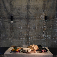 Delumina Pendant Light