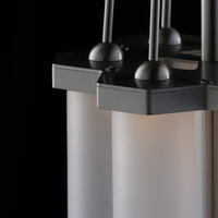 Nektar 6 Frosted Pendant Light