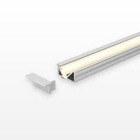Micro Asymmetric Recessed LED Profile