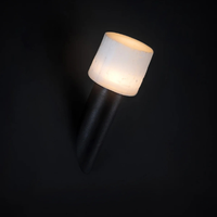 Torch Wall Light