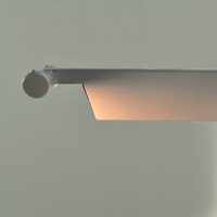 Eliana Picture Light