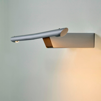 Eliana Picture Light