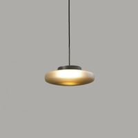 Lounge Single Pendant Light