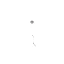Reed 30 Spike Light