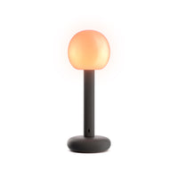 Fire Portable Table Lamp