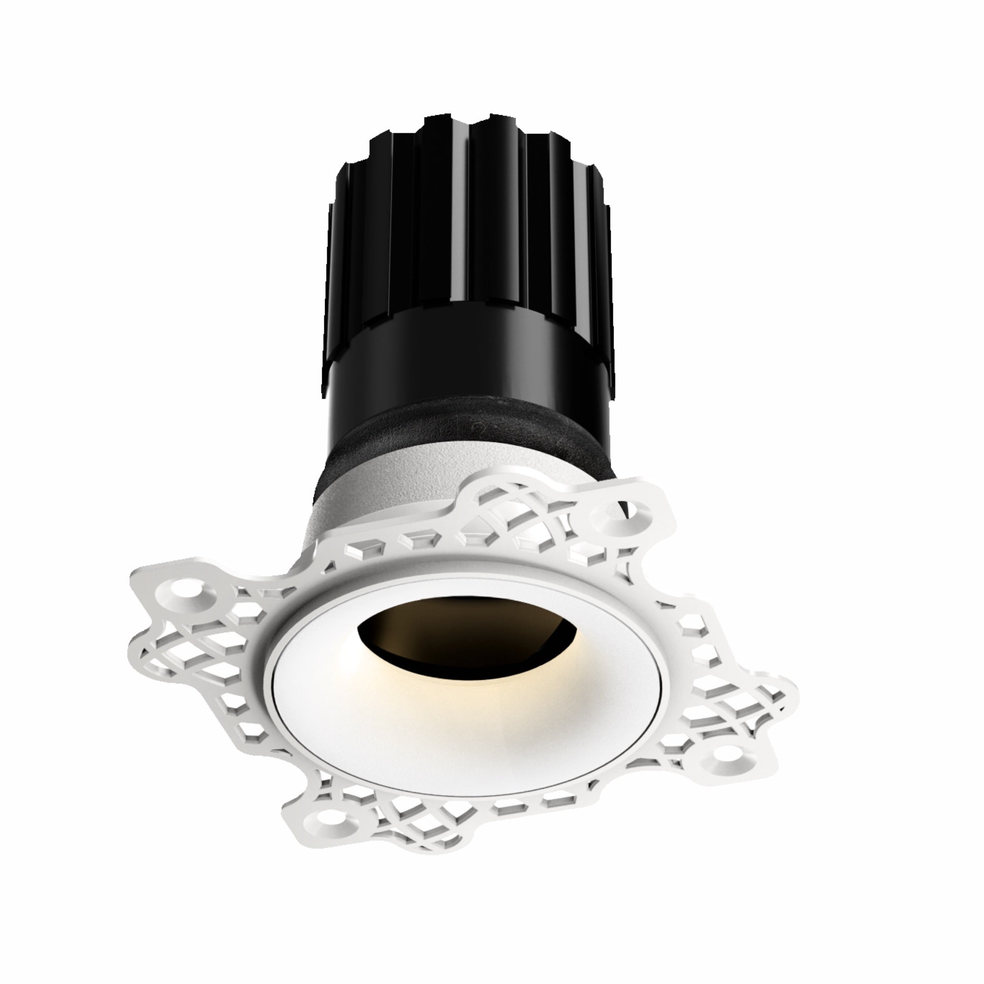Camber Mini Adjustable Downlight