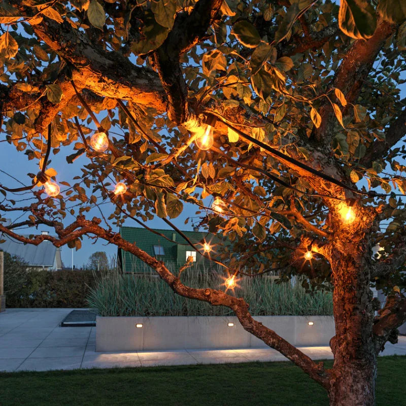 10 Lamp LED Festoon Set