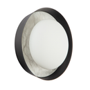 Alonso Wall Light
