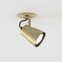 Juno Recessed Spotlight