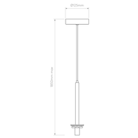 Tacoma Pendant Light