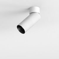 Cloud Mini Rose Adjustable Spotlight