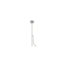 Reed 30 Spike Light