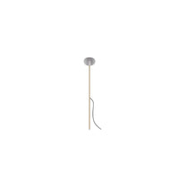 Reed 30 Spike Light