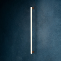 Mea 100 Wall Light