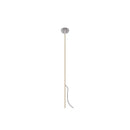 Reed 60 Spike Light