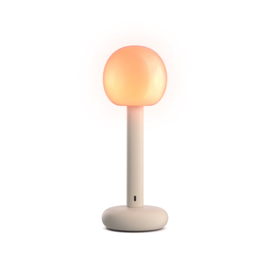Fire Portable Table Lamp