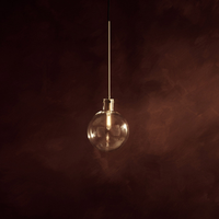 Ora Single Pendant Light