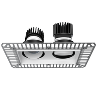 Eyeconic Twin Recessed Trimless Adjustable Downlight